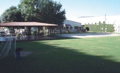 linea del tiempo imagenes 2023 Pioneer México